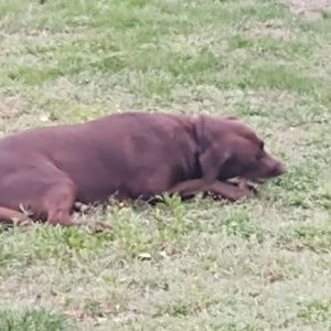 Meet your Posher, Craig